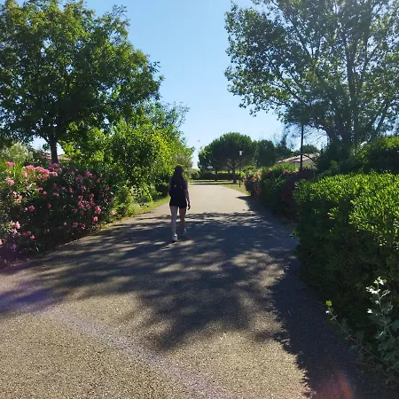 Holiday home 45 M2 Dans Parc Arbore Avec Piscine